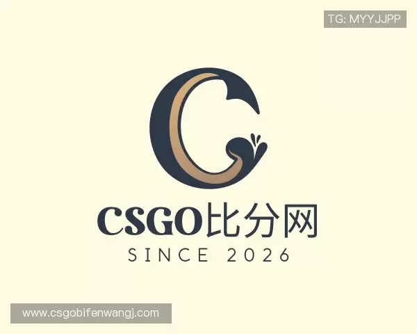 关于CSGO比分网